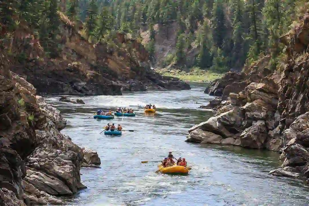 Five rafting boats racing in the river Ganga.