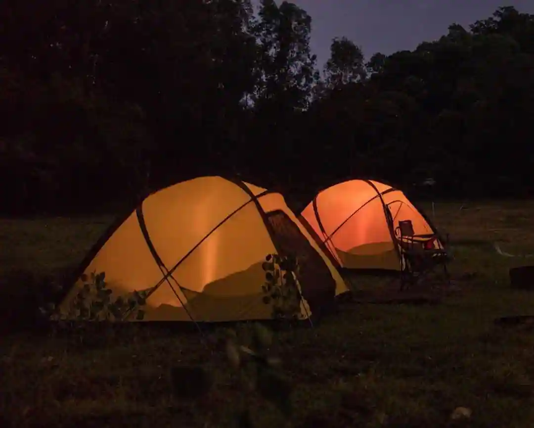 jungle camp rishikesh