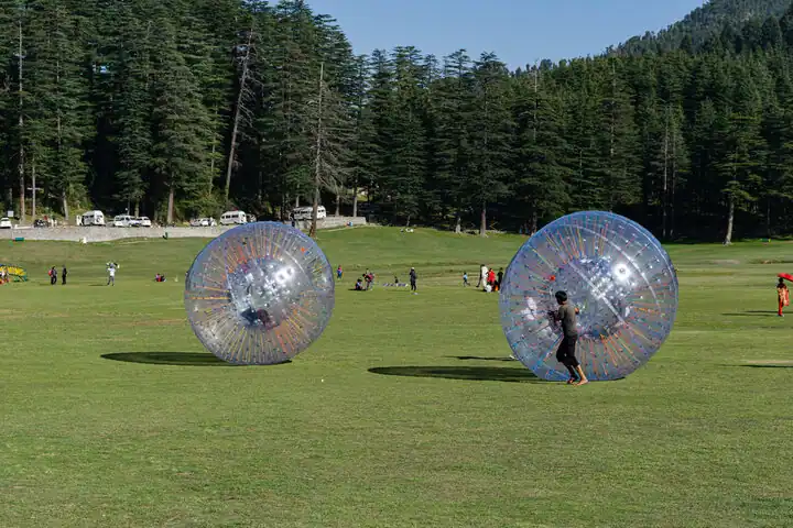 People having fun while playing zorbing