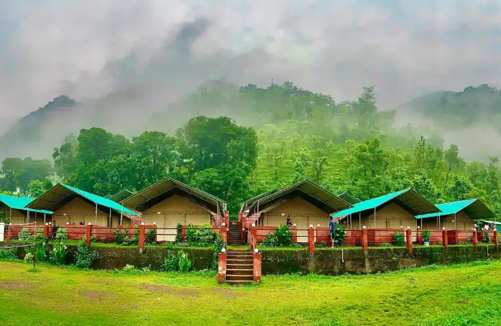 Bull Adventure 0023, Riverside Jungle Tents in Kaudiyala