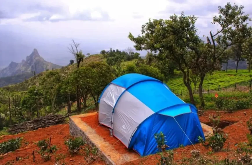 Solo camping places in India