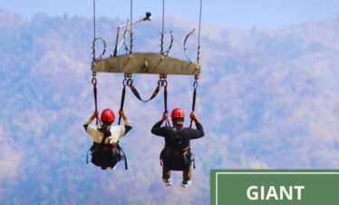GIANT Swing