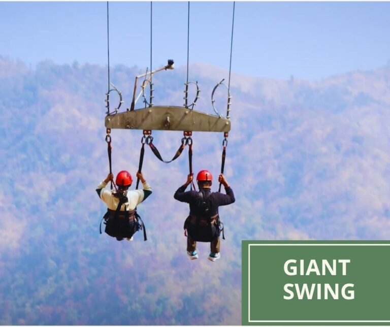 GIANT Swing