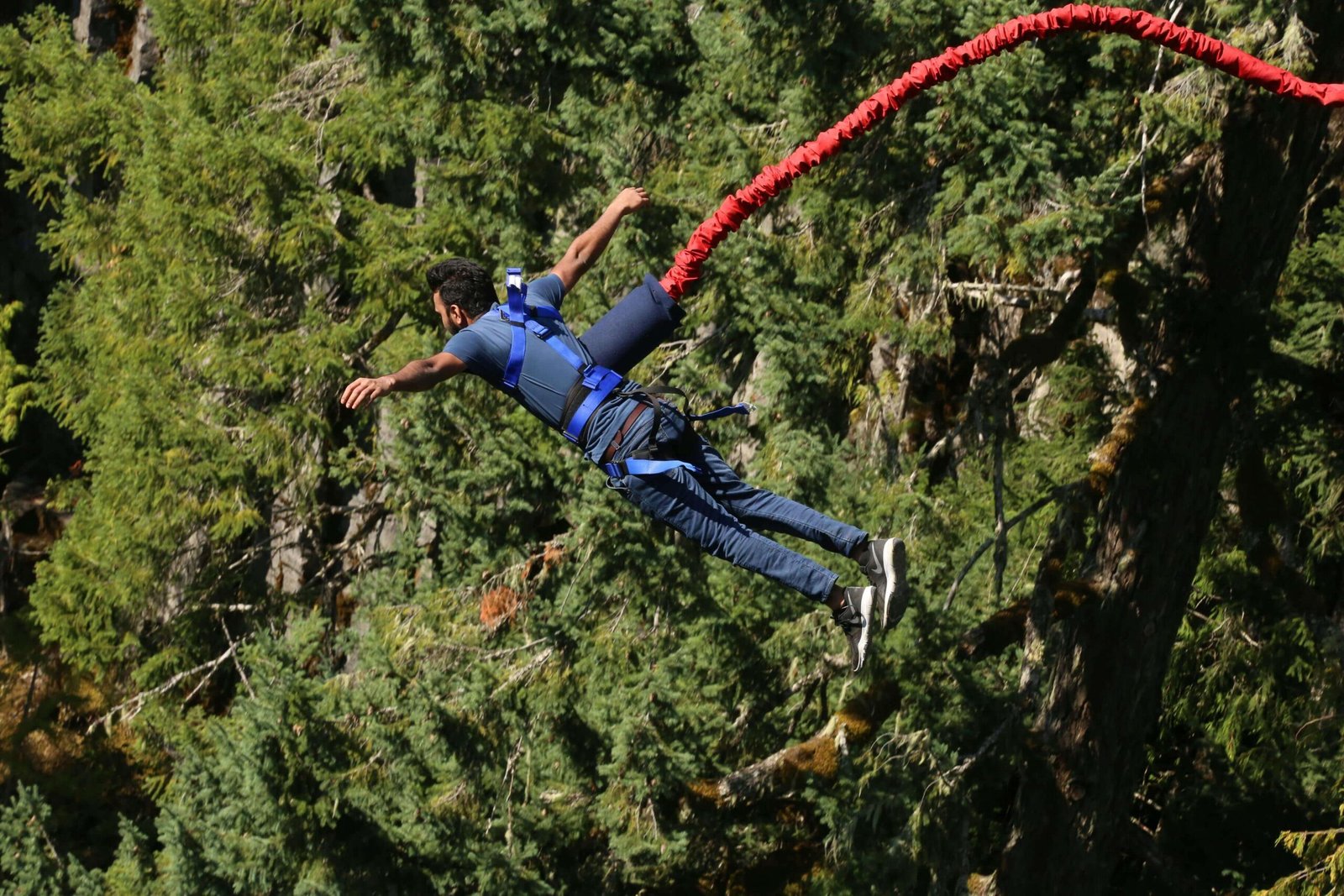 Bungee Jumping- 3